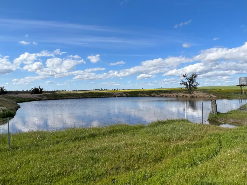 2276 Kojonup-Katanning Rd, Carrolup, WA 6317