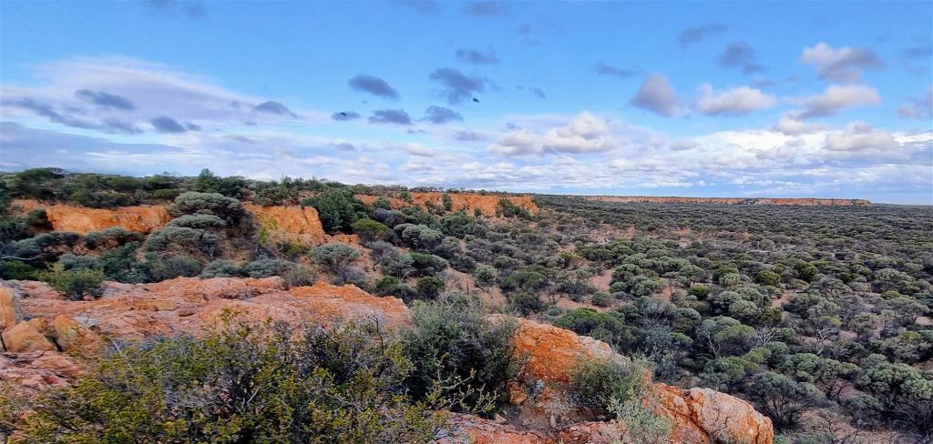 Barrambie Station/1 Meekatharra-Sandstone Rd, Sandstone, WA 6639