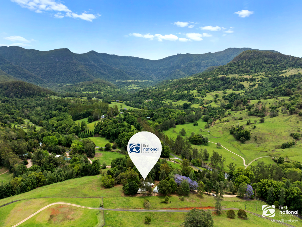 245 Limpinwood Valley Rd, Limpinwood, NSW 2484