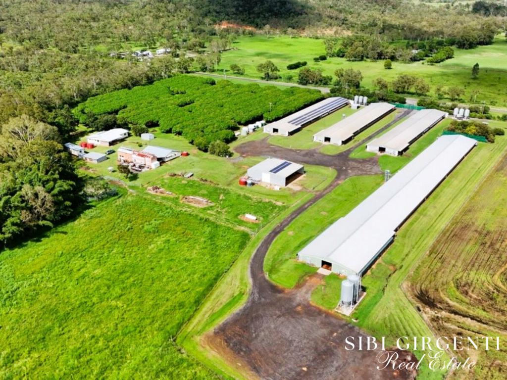 1004 Bilwon Rd, Biboohra, QLD 4880