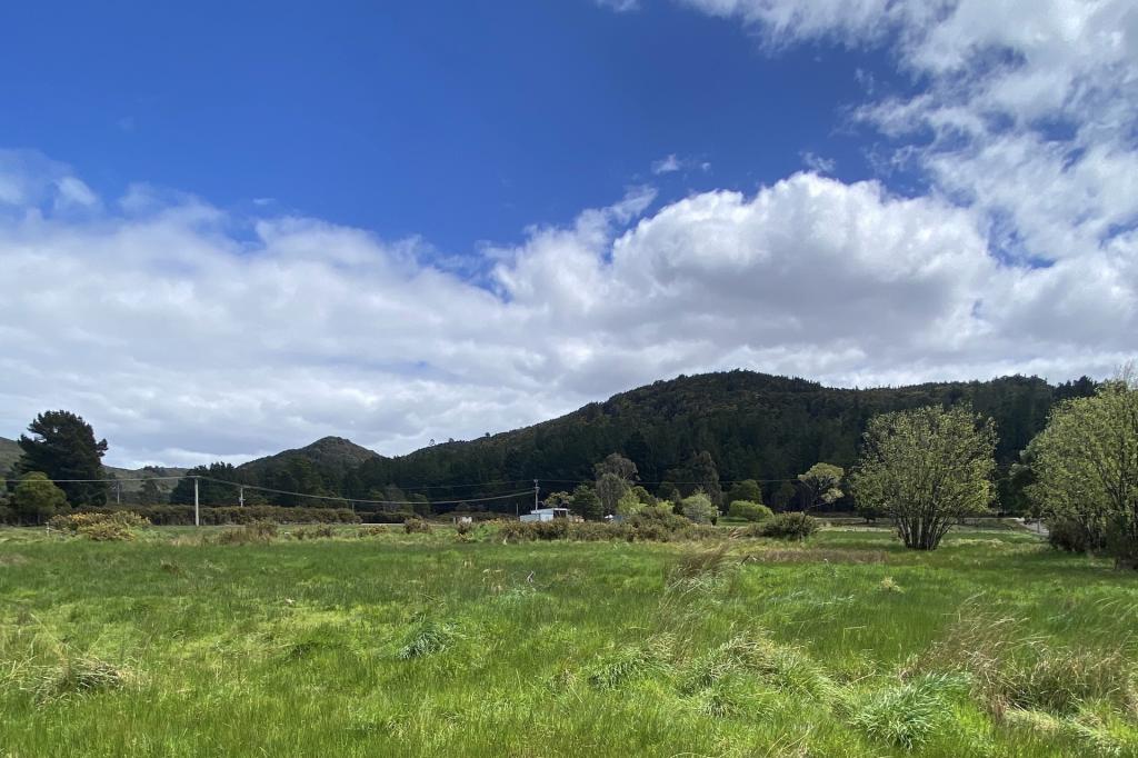 Lot 1 Stops St, Zeehan, TAS 7469