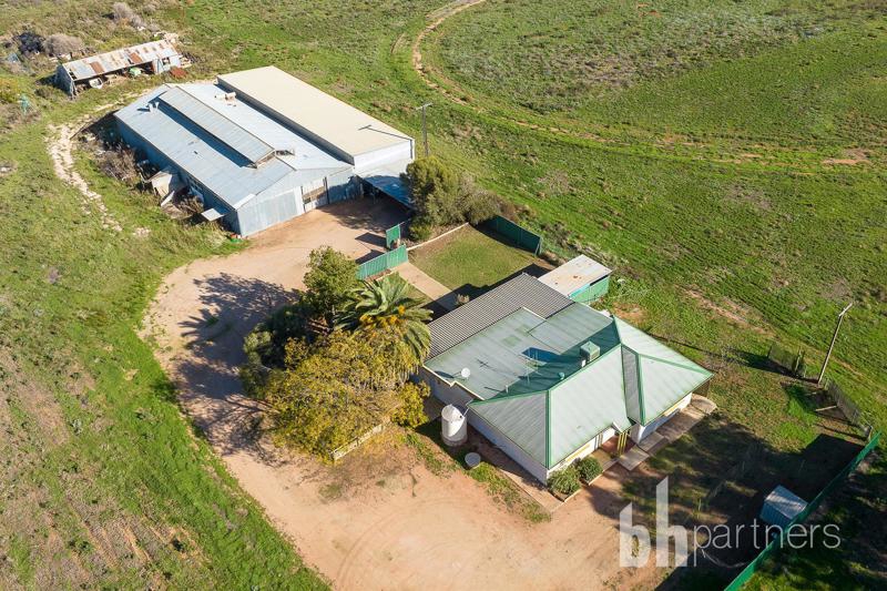 693 Thiele Rd, Loveday, SA 5345