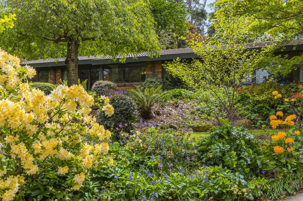 10 Cheniston Rd, Mount Macedon, VIC 3441