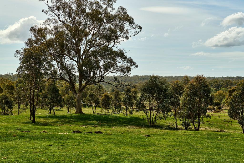 545 Spring Flat Rd, Heathcote, VIC 3523