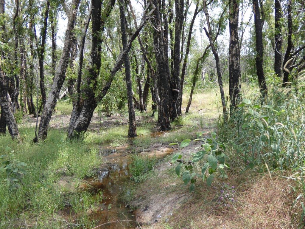 155 Serrata Rd, Dundee Downs, NT 0840