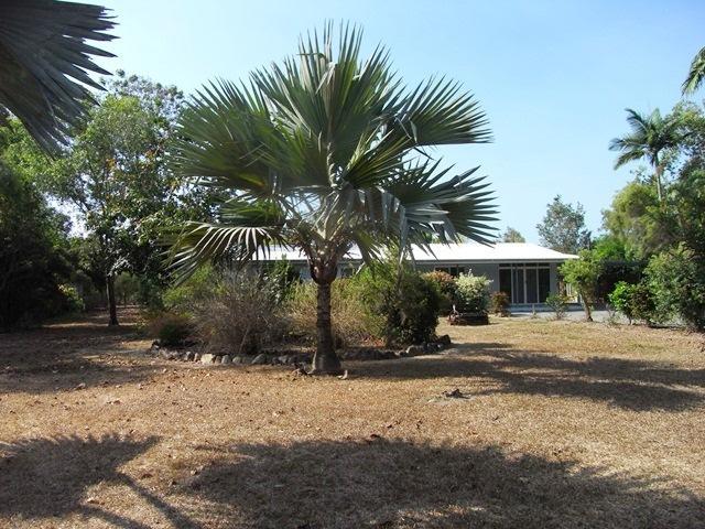 379 Forestry Rd, Bluewater, QLD 4818