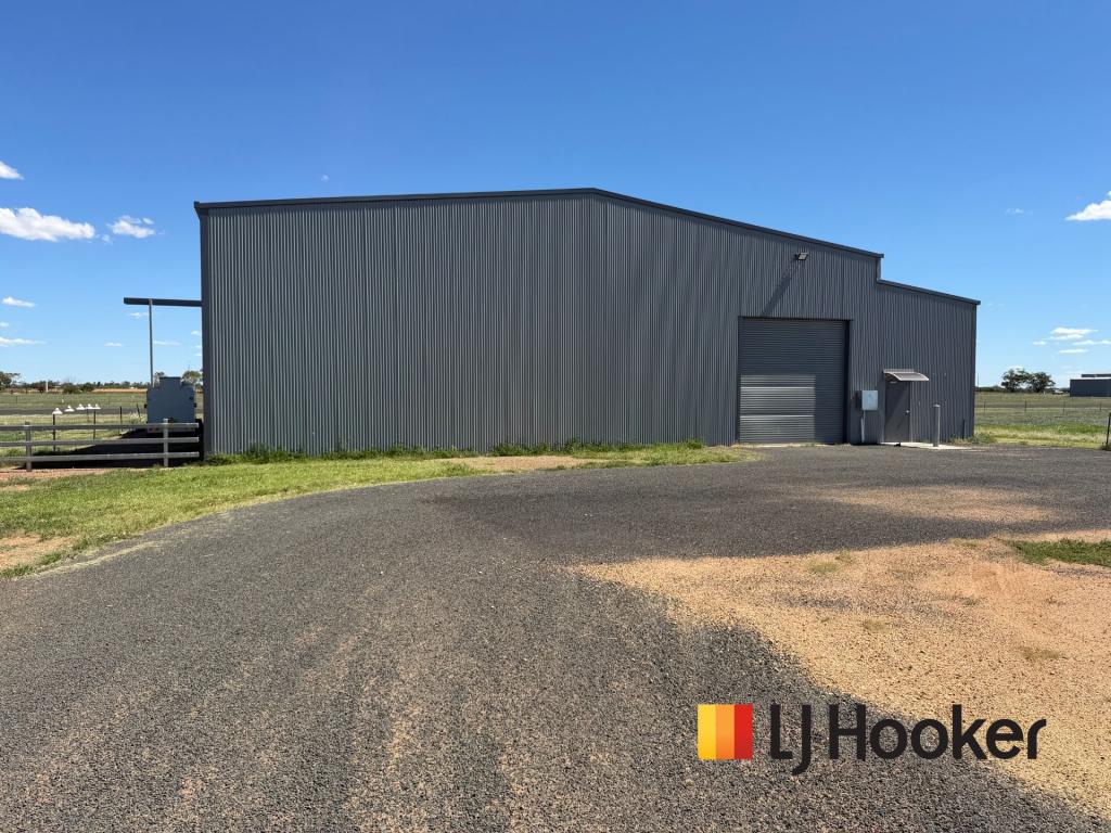 5 Hayden Ct, Narromine, NSW 2821