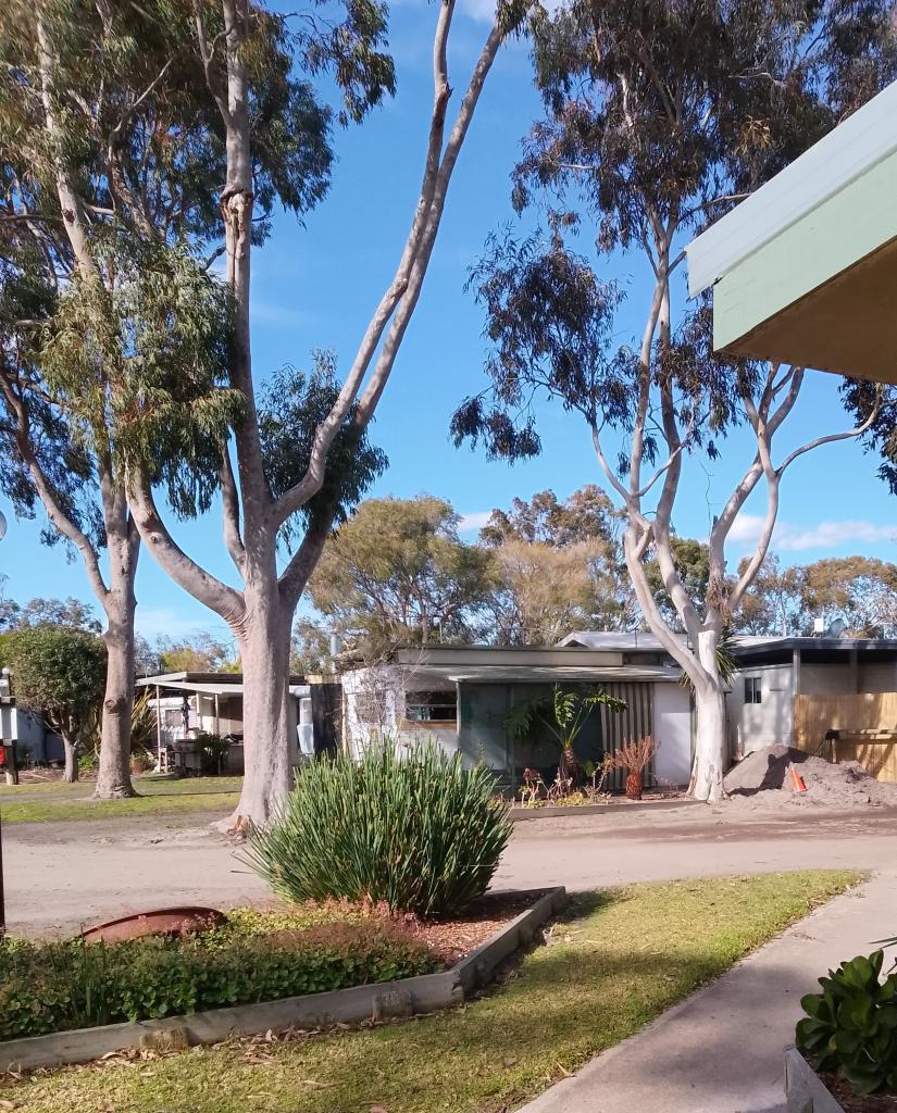 26/6 Lumeah Rd, Somerville, VIC 3912