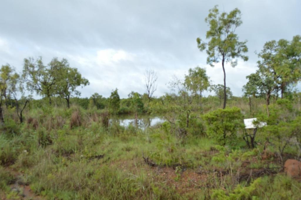 542 & 32 Cheeney - Nolan Rd, Batchelor, NT 0845