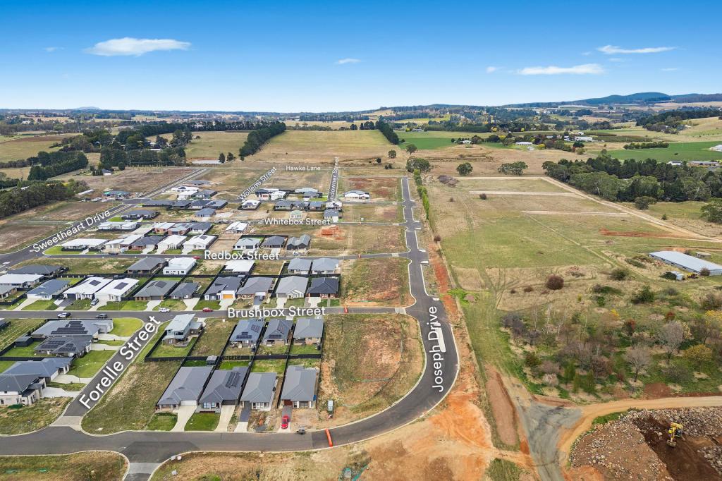 Tanika St, Orange, NSW 2800