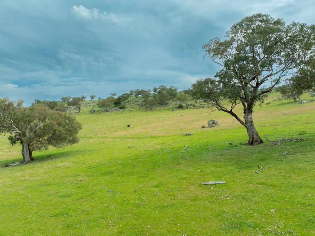  CEMETERY RD, MURRUMBURRAH, NSW 2587