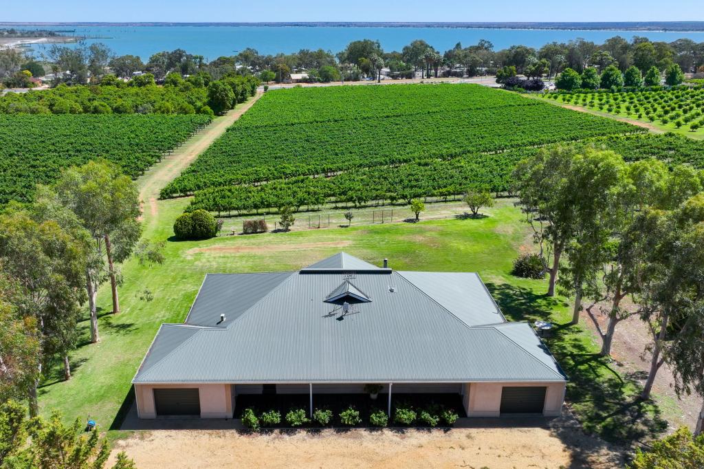 17356 Sturt Hwy, Barmera, SA 5345