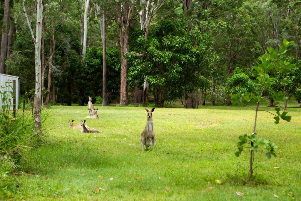 45 Greys Lane, Ravenshoe, QLD 4888