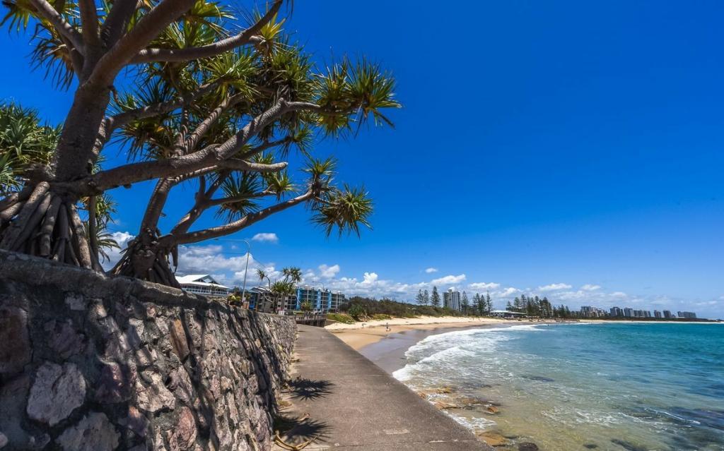 260/180 Alexandra Pde, Alexandra Headland, QLD 4572