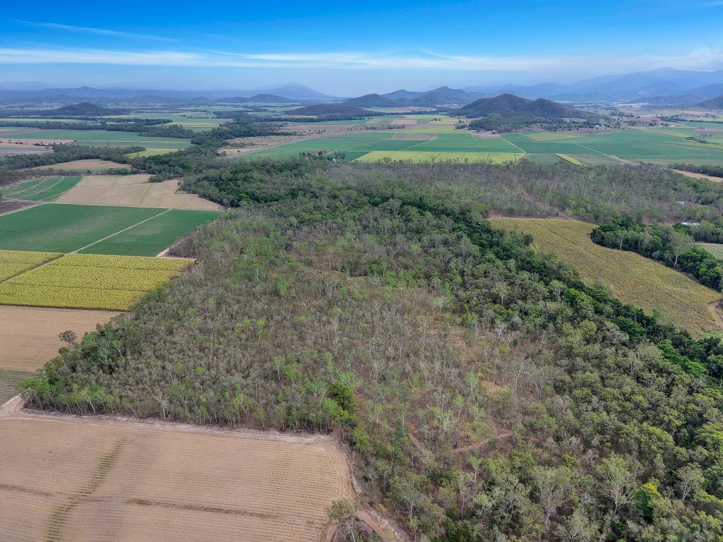 L4 Mirani- Mount Ossa Rd, Benholme, QLD 4754