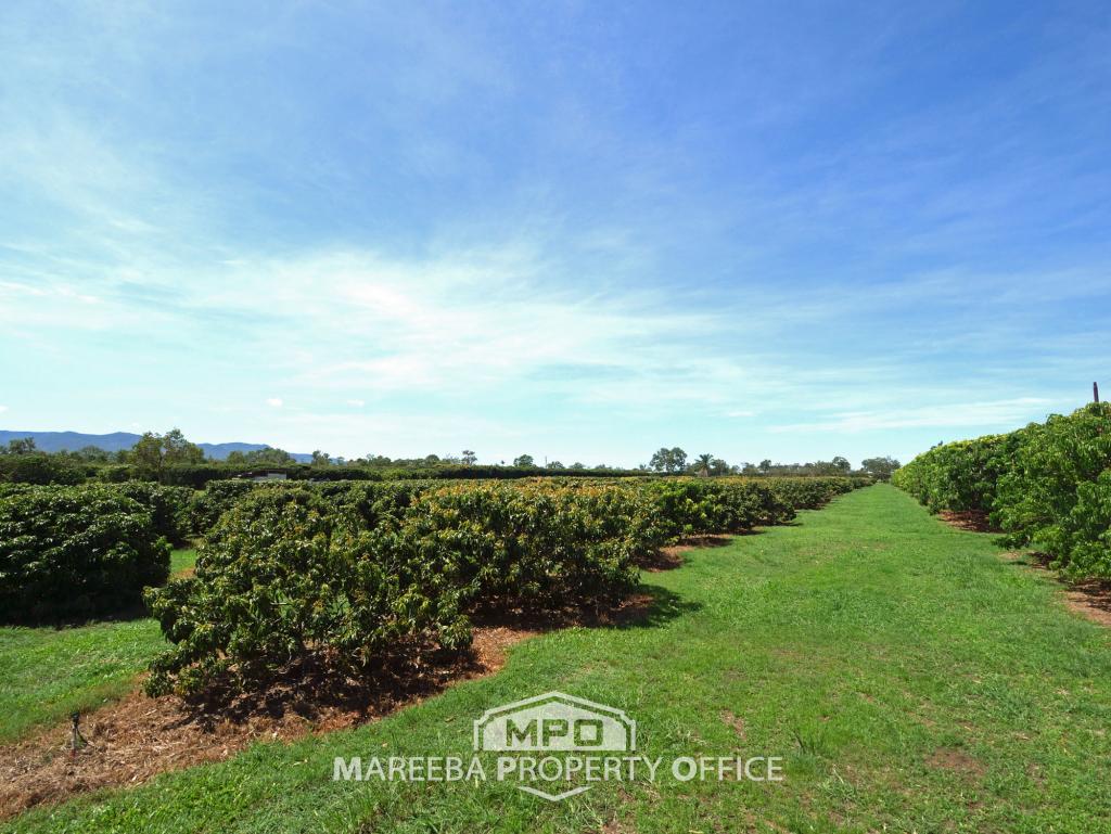 209 Malone Rd, Mareeba, QLD 4880