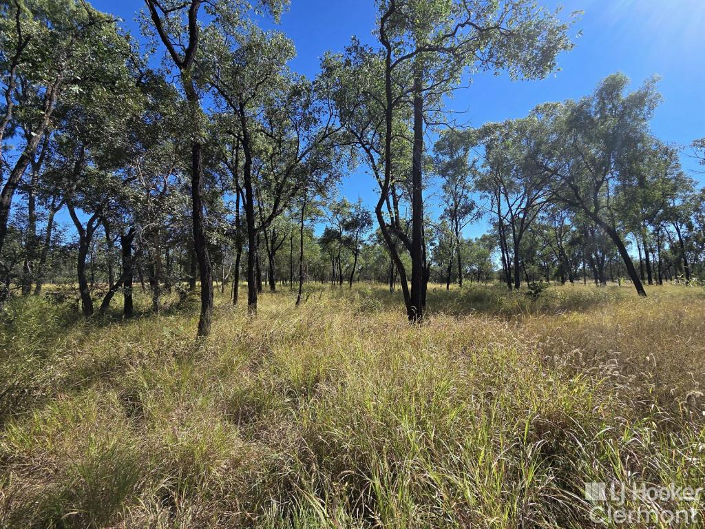 21 Matchett Lane, Clermont, QLD 4721