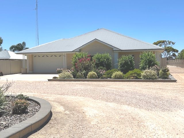 53 David St, New Town, SA 5554