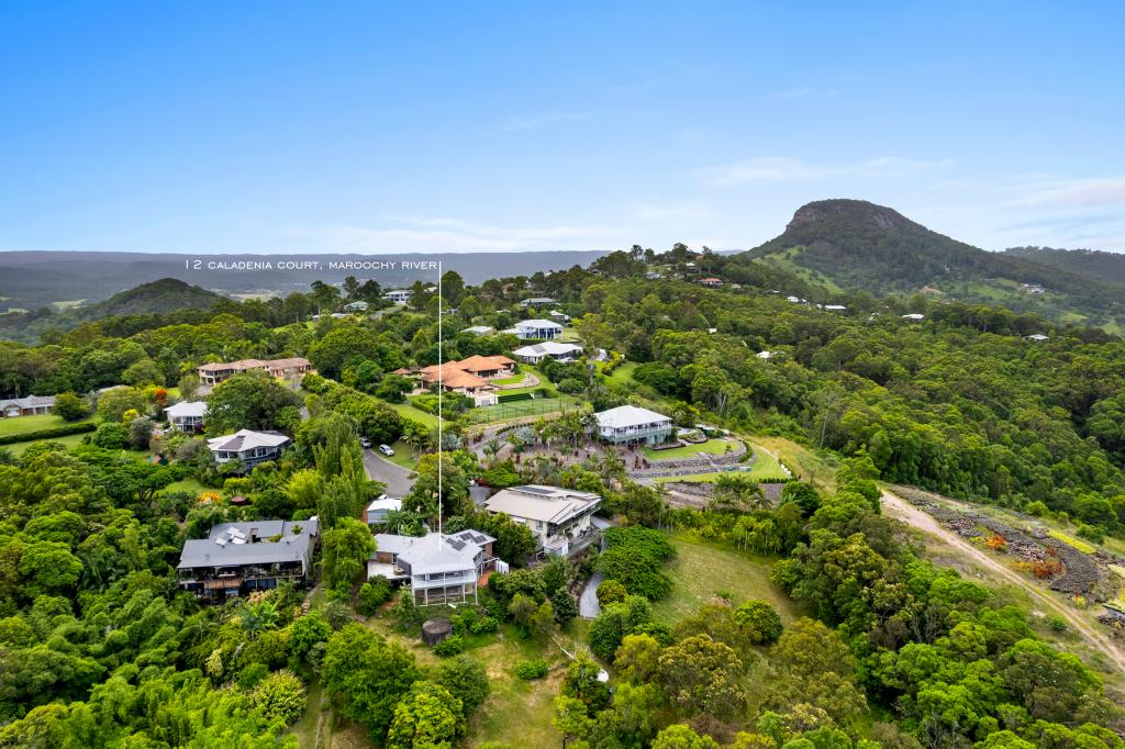 12 Caladenia Ct, Maroochy River, QLD 4561