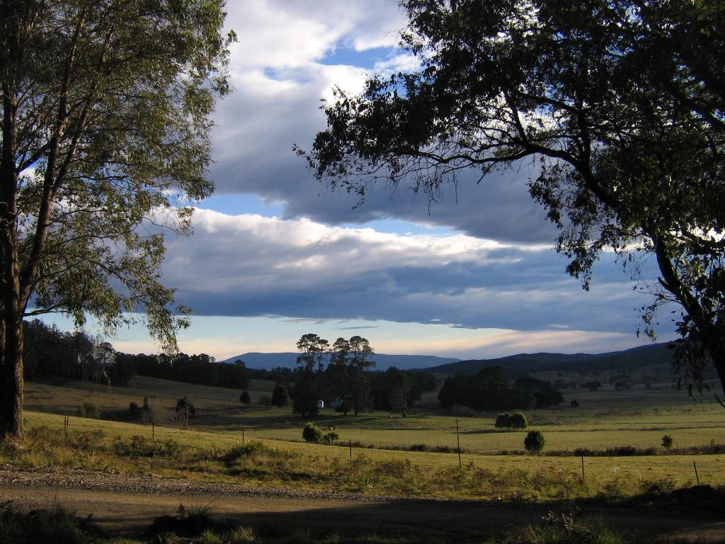 9051 Bonang Rd, Bonang, VIC 3888