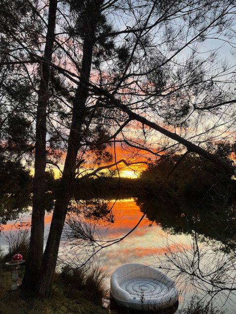 118 North Moto Rd, Moto, NSW 2426