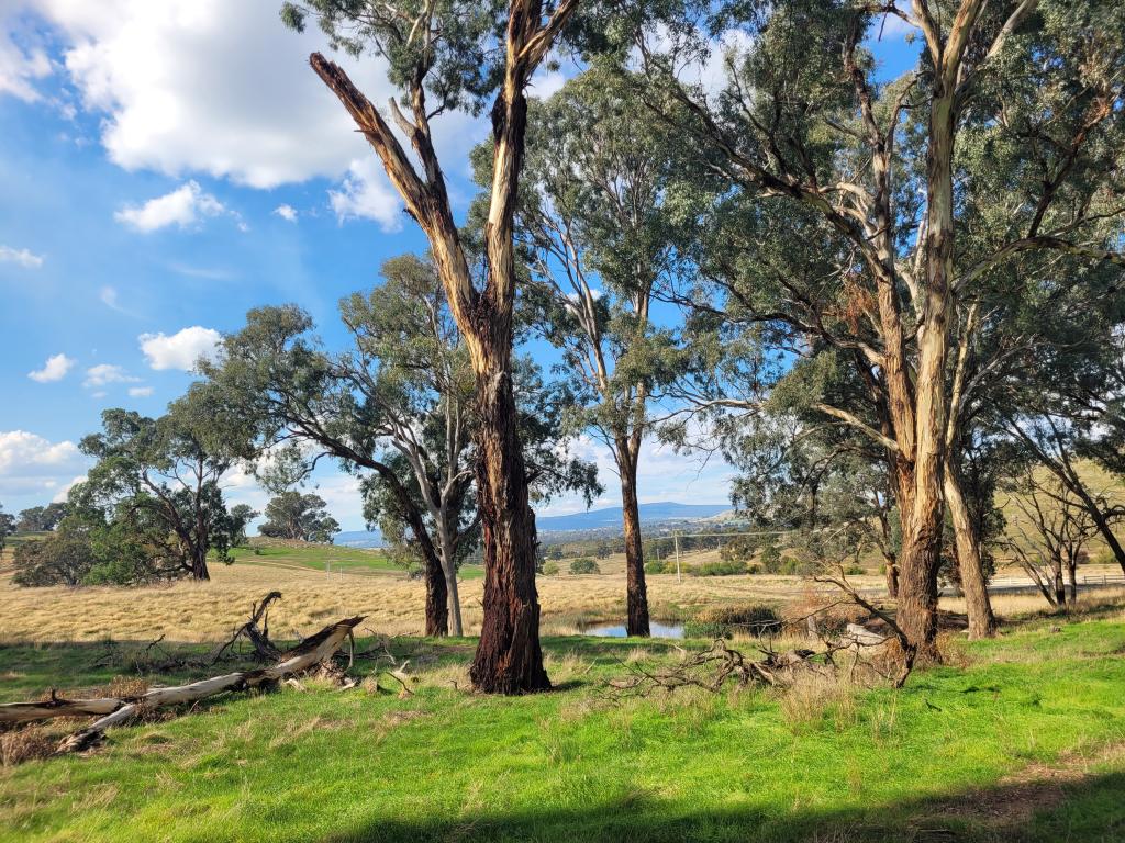 84 Owens Creek Dr, Mansfield, VIC 3722