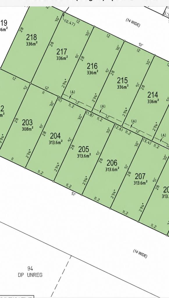 Lot 205/186 Macarthur Rd, Spring Farm, NSW 2570