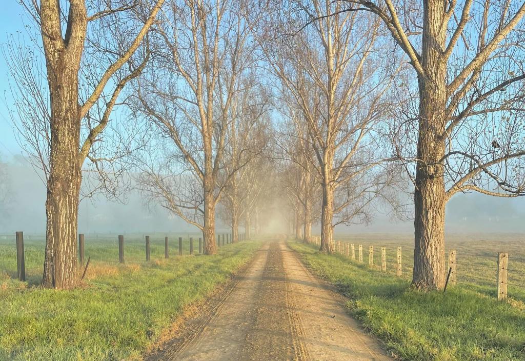 1301 Chichester Dam Road, Bandon Grove, Via, Dungog, NSW 2420