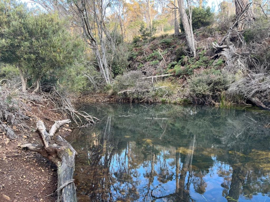 940 Swanston Rd, Swanston, TAS 7120