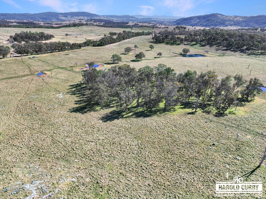 Lot 25 Scrub Rd, Tenterfield, NSW 2372