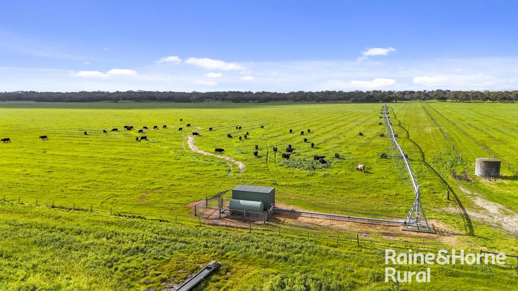 556 MAIL BRIDGE RD, REEDY CREEK, SA 5275