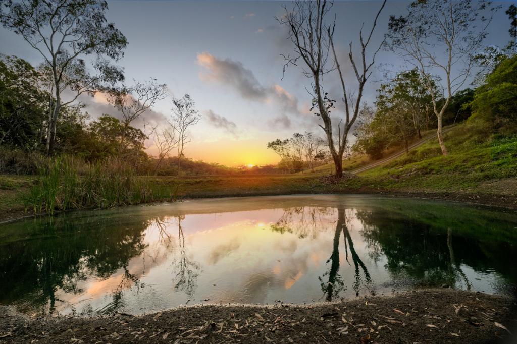 130 Bobongies Rd, Habana, QLD 4740