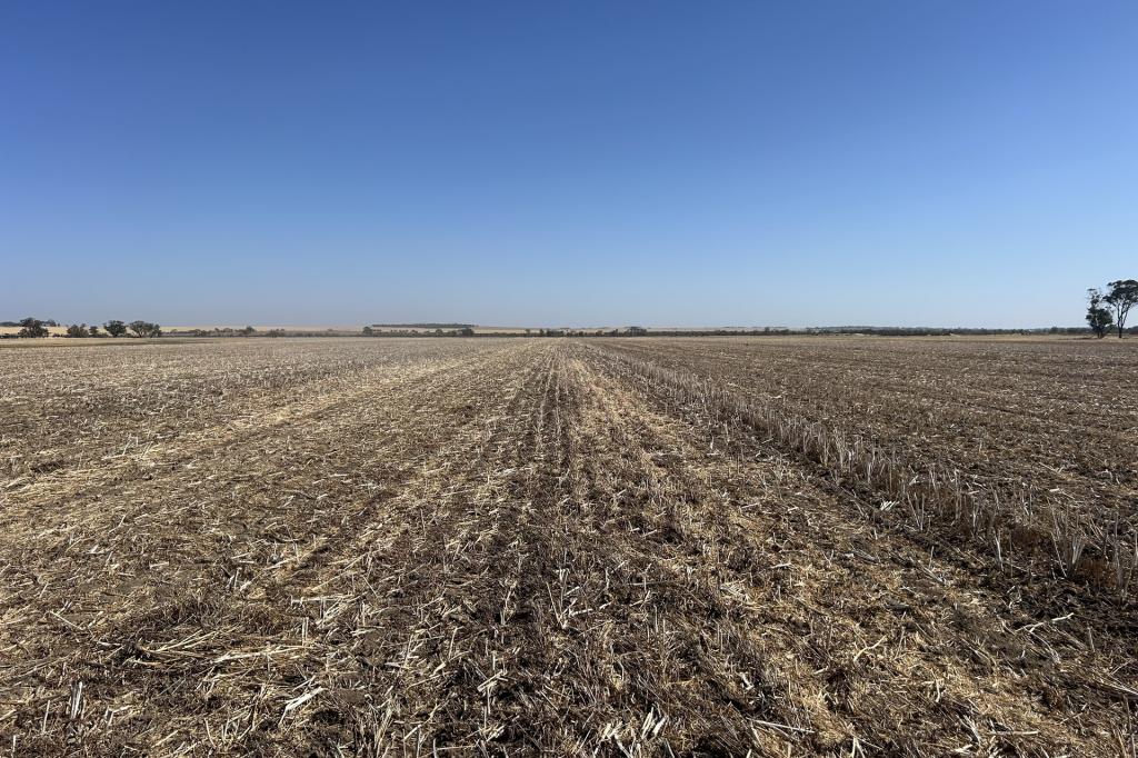 Dwarlacking Rd, Bulyee, WA 6306