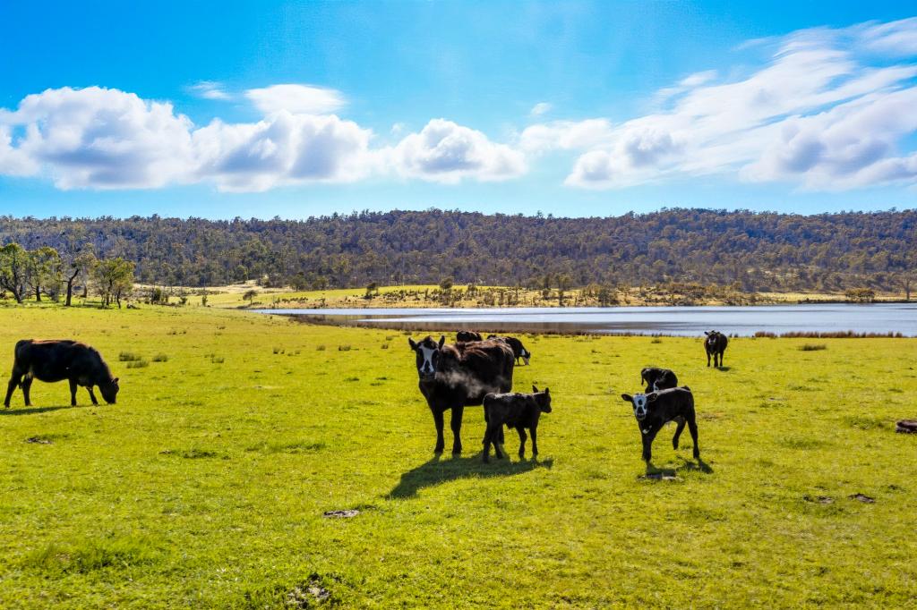 'Hydaway' 448 Westwood Rd, Westwood, TAS 7292