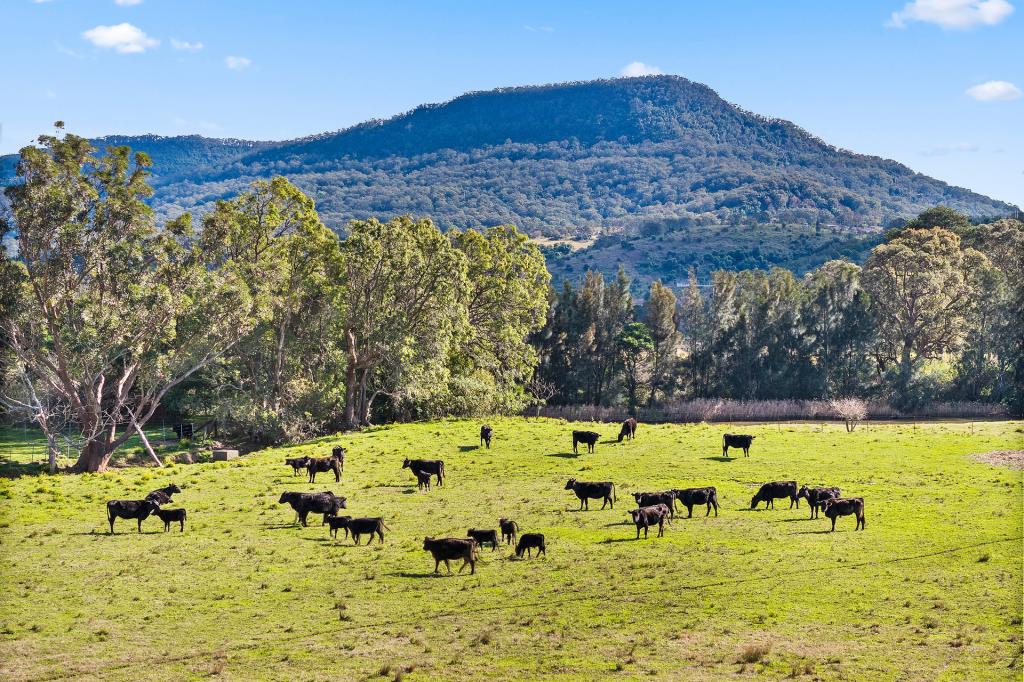 21 Windsor Cres, Brownsville, NSW 2530