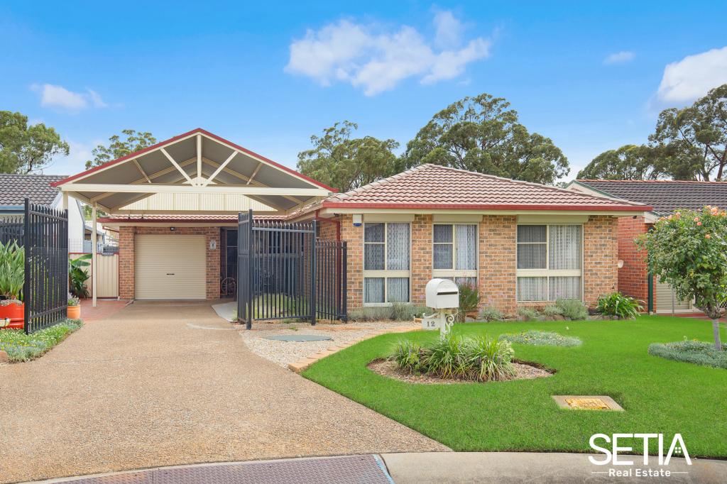 12 Masiku Pl, Glendenning, NSW 2761