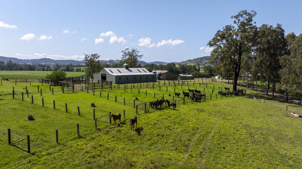 330 FOSTERTON RD, DUNGOG, NSW 2420