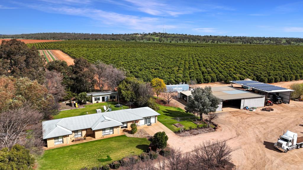 3977 Irrigation Way, Widgelli, NSW 2680