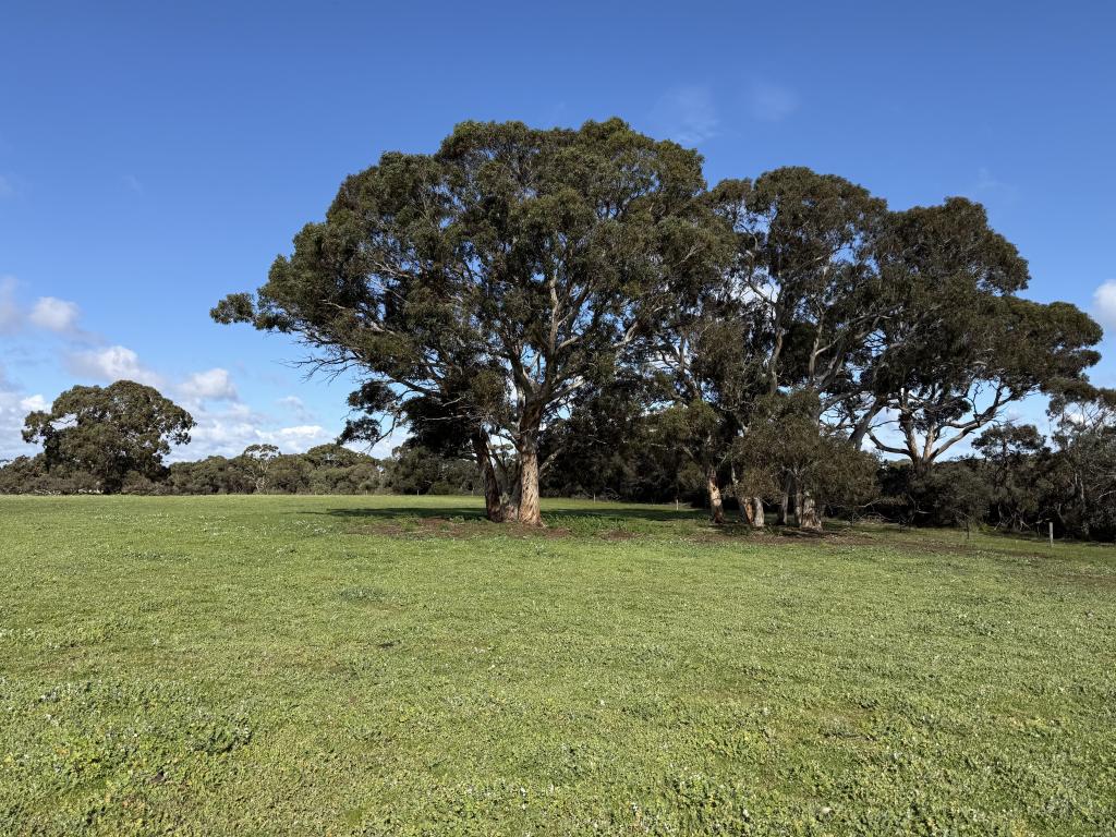 490 East West Two Hwy, Seddon, SA 5223
