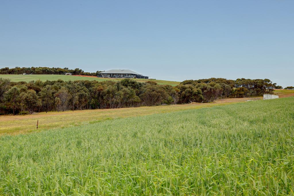 84 Lovegrove Lane, Whites Flat, SA 5607