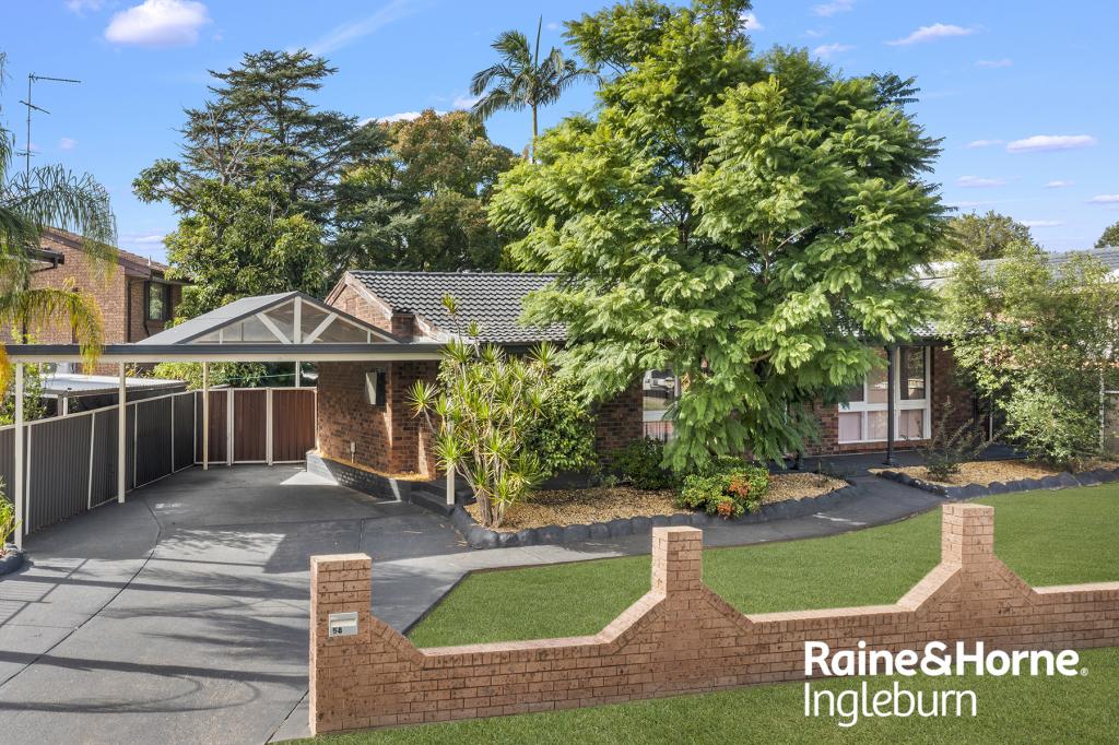 58 Adrian St, Macquarie Fields, NSW 2564