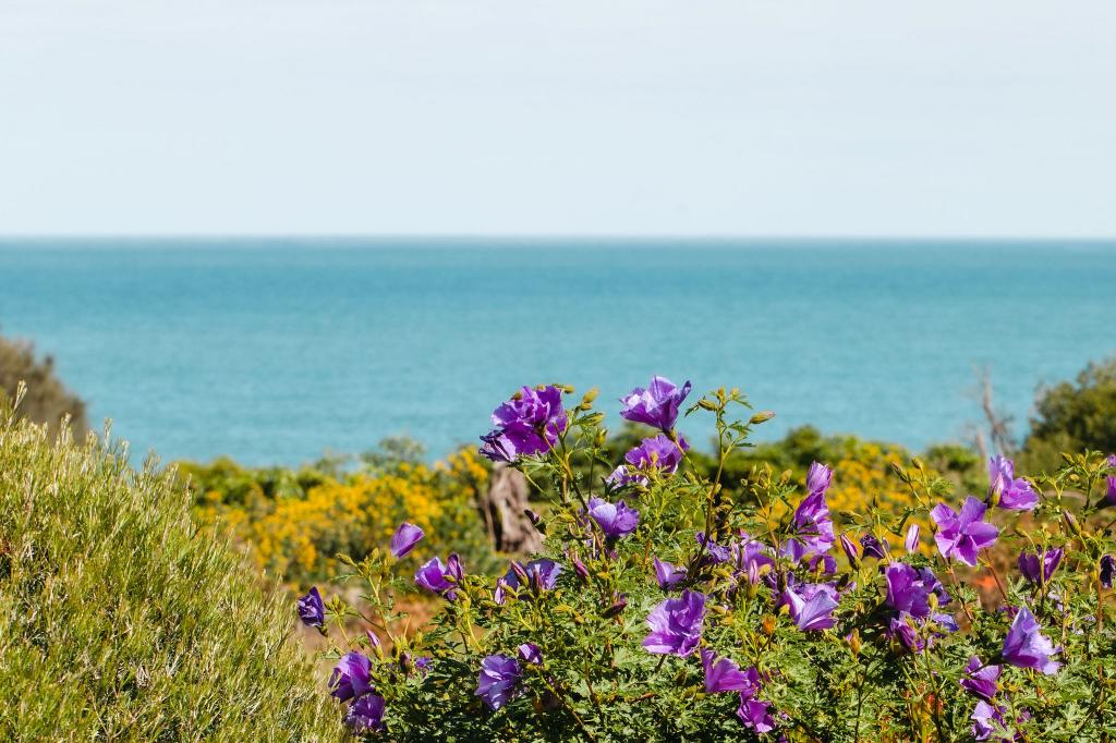 4 Haven St, Somers, VIC 3927