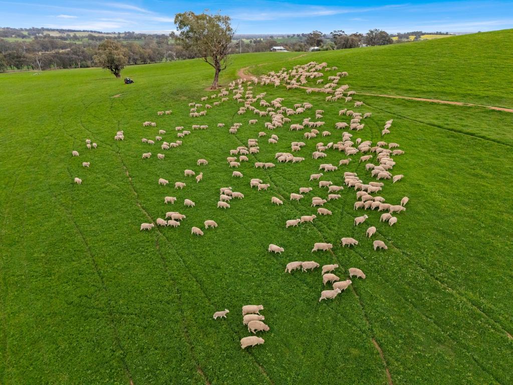2056 Benalla-Yarrawona Rd, Bungeet West, VIC 3726