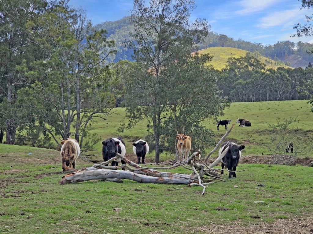 1282 Waukivory Road, Waukivory Via, Gloucester, NSW 2422