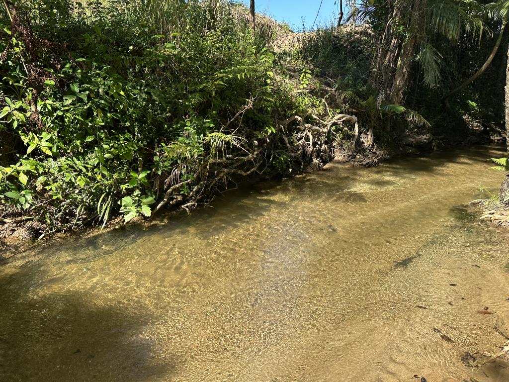 Contact agent for address, FELUGA, QLD 4854