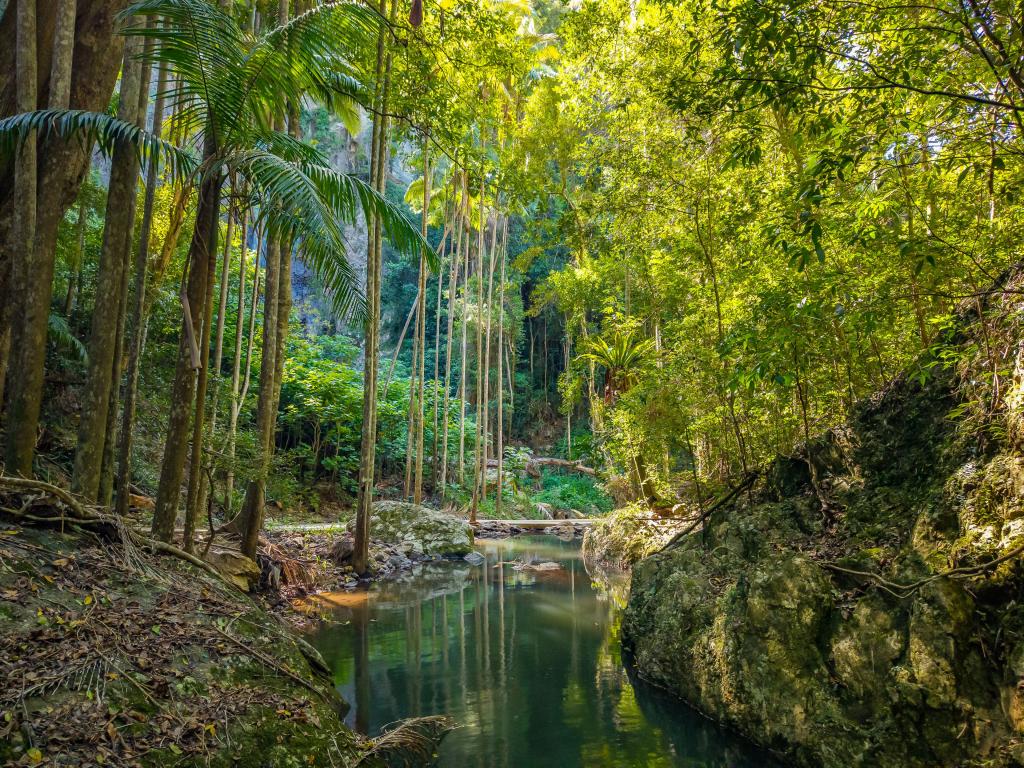 196-276 Kaiser Rd, Tamborine Mountain, QLD 4272