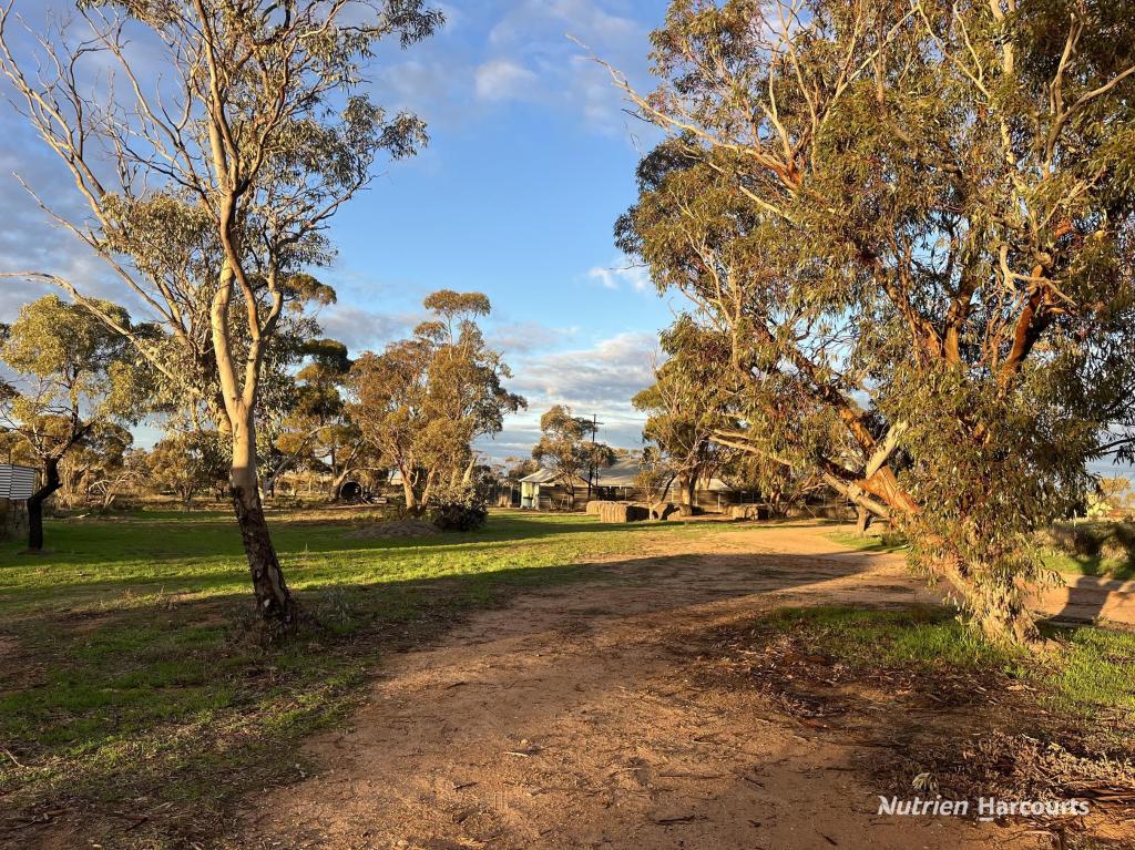 . Birnie Downs, Bencubbin, WA 6477