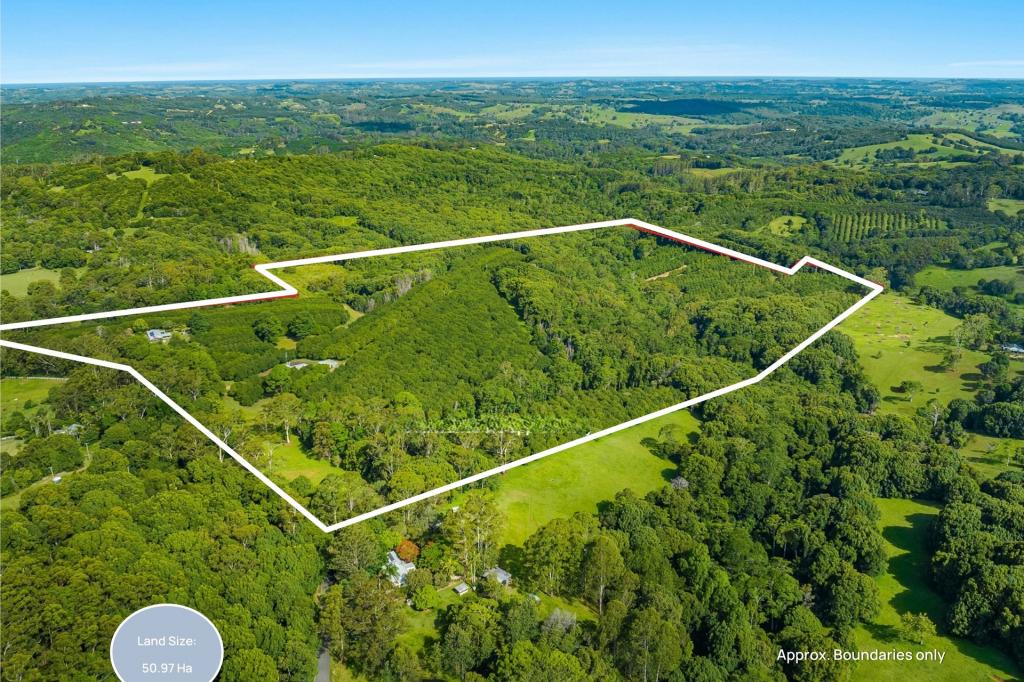 206 Repentance Creek Rd, Rosebank, NSW 2480