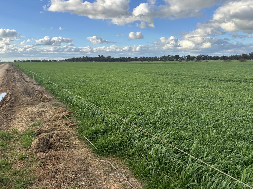 - HANSEN RD, BALLENDELLA, VIC 3561
