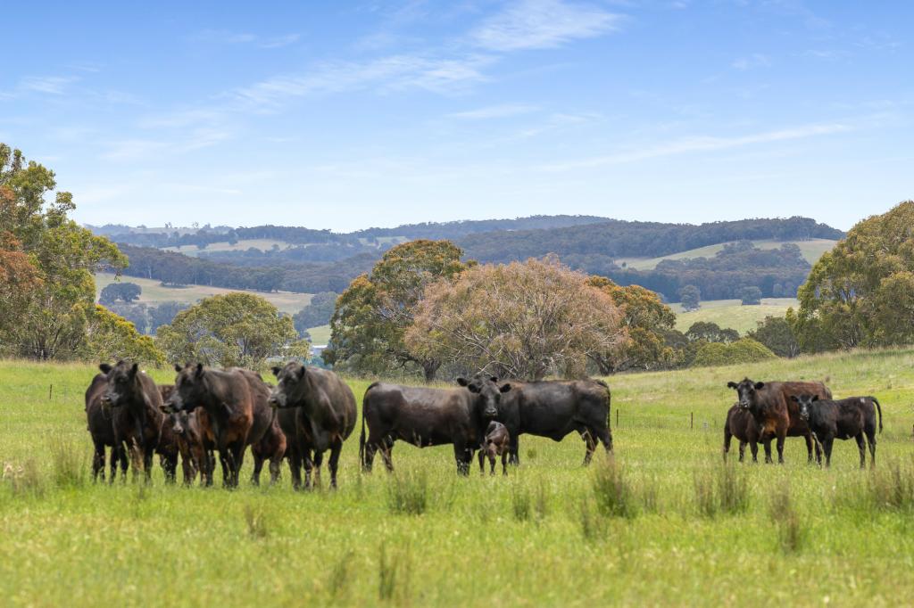 47 Old Trunk Rd, Arkell, NSW 2795